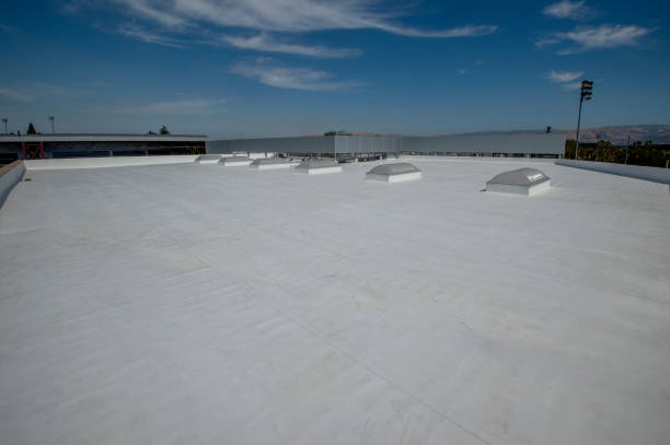 Best Roof Maintenance and Cleaning  in Belleville, PA